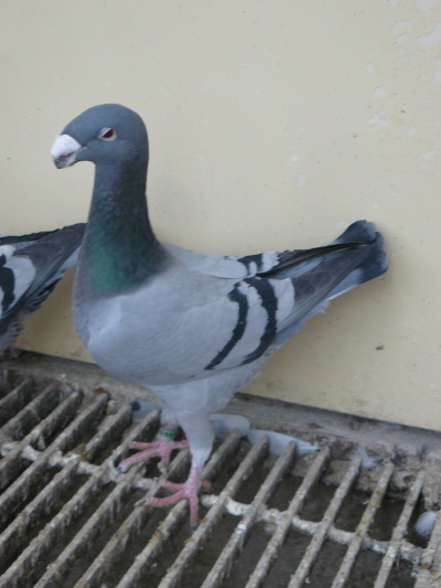 P1070813