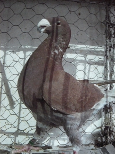 P1070863