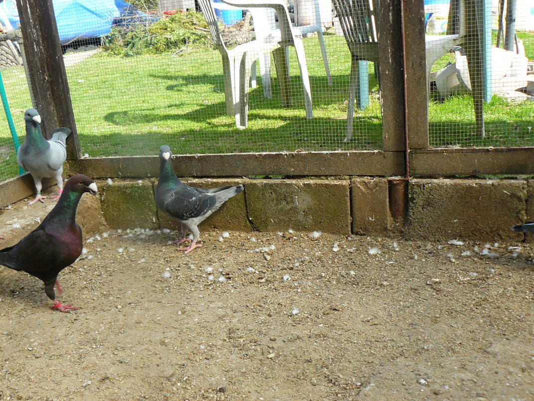 P1080105