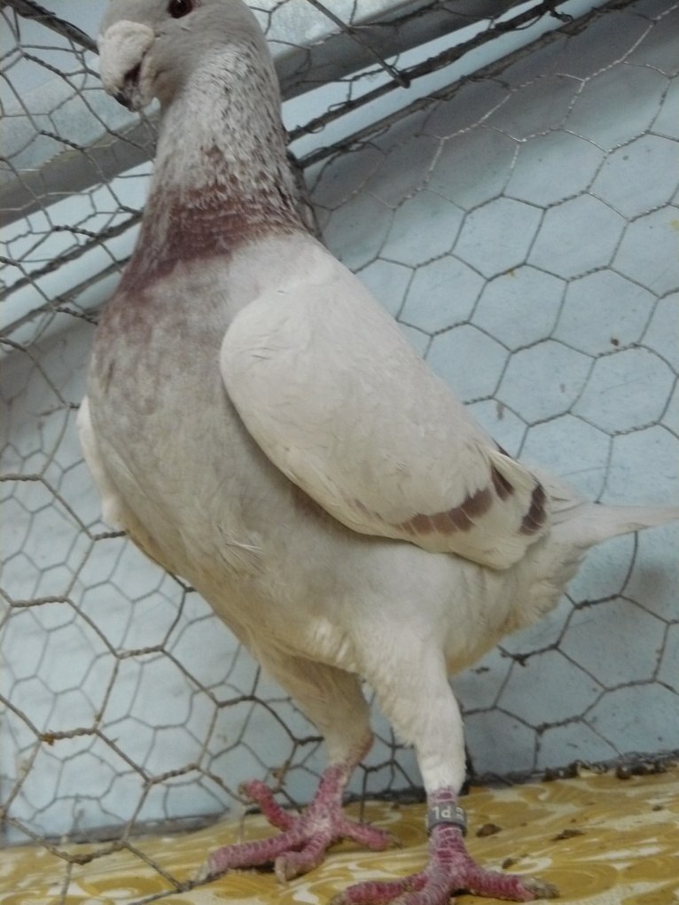 P1090004